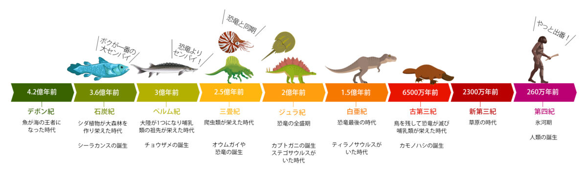 サメなのにサメじゃない チョウザメのヒミツ カルチャー 日欧商事 Jet