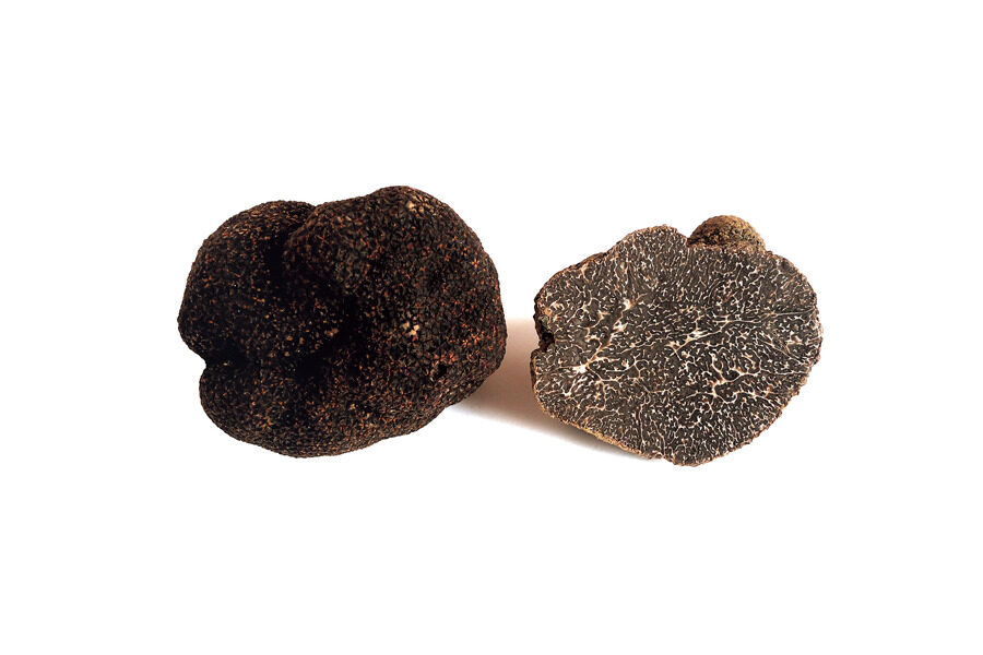  TUBER MELANOSPORUM VITT 黒トリュフ（ウィンタートリュフ）