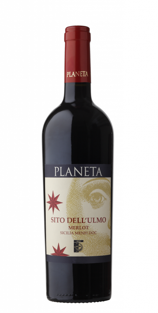 “Merlot” Sito dell’Ulmo “メルロー”　シート・デル・ウルモ