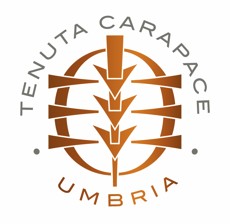 テヌータ・カラパーチェ